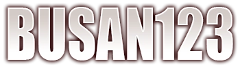 BUSAN123 Logo